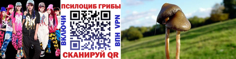 Псилоцибиновые грибы прущие грибы  блэк спрут как зайти  Котельниково 